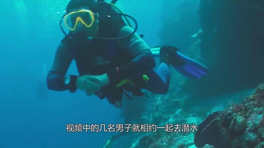 小猫钓鱼开船版最新版下载