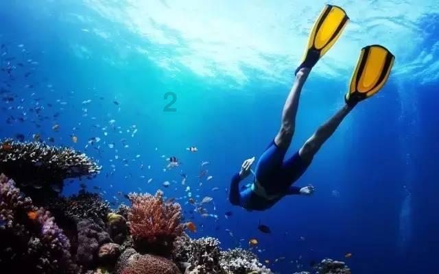 2024年要在枕下放三物:传统智慧与现代生活的融合